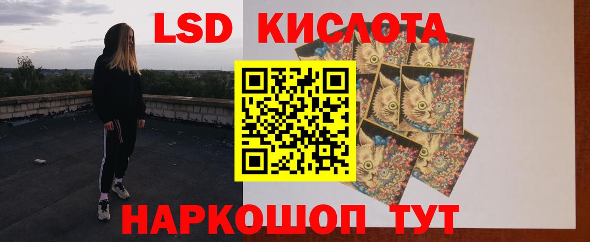 Лсд 25 Карачаевск