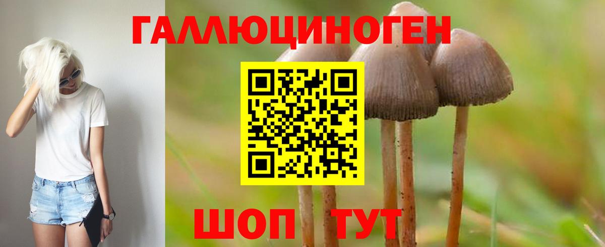 Карачаевск  Галлюциногенные грибы GOLDEN TEACHER  Вход с VPN 