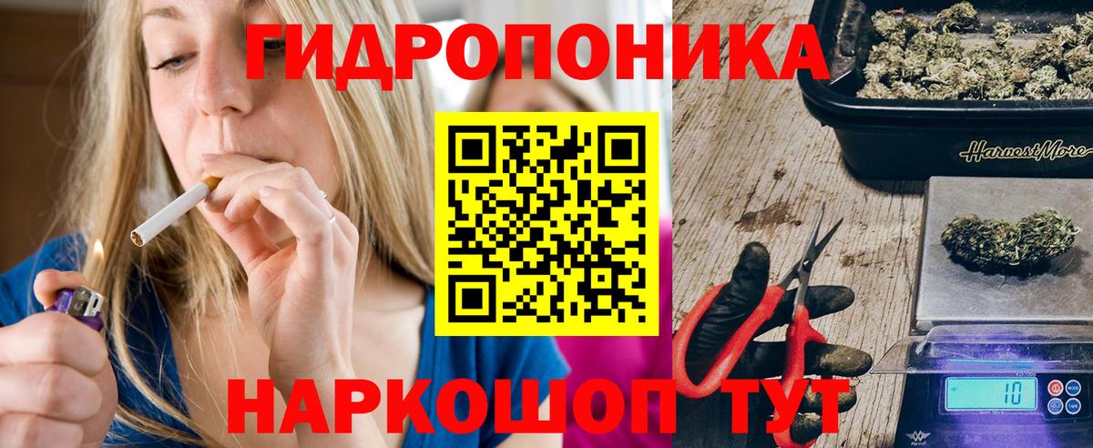 Бошки марихуана план Карачаевск